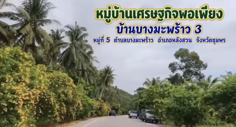 คลิปประชาสัมพันธ์ หมู่บ้านเศรษฐกิจพอเพียงบ้านบางมะพร้าว3 หมู่ที่ 5 ตำบลบางมะพร้าว อำเภอหลังสวน จังหวัดชุมพร